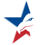 USA InfoTech logo