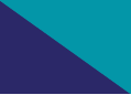 Viac Services Company logo