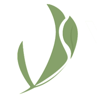 Vernus Technologies, Inc. logo