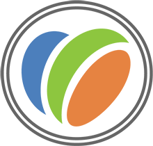 Vizplum Corporation logo