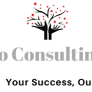 Voto Consulting logo