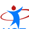 Vst Consulting, Inc. logo