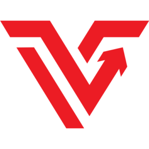 Venturesoft Global Inc logo