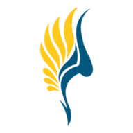 Vypra logo