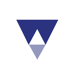 Wei, Wei & Co., LLP logo