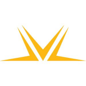 Welton Investment Partners logo