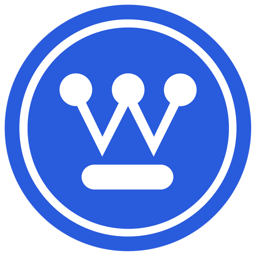 Stone & Webster Services logo