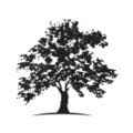 White Oak Global Advisors logo
